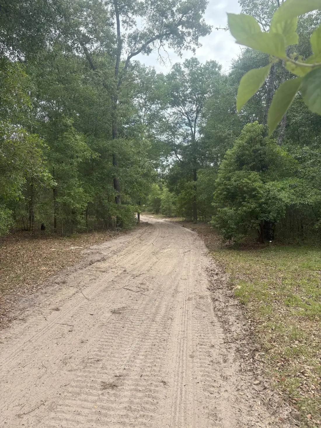 Limerock driveway repair Columbia County FL