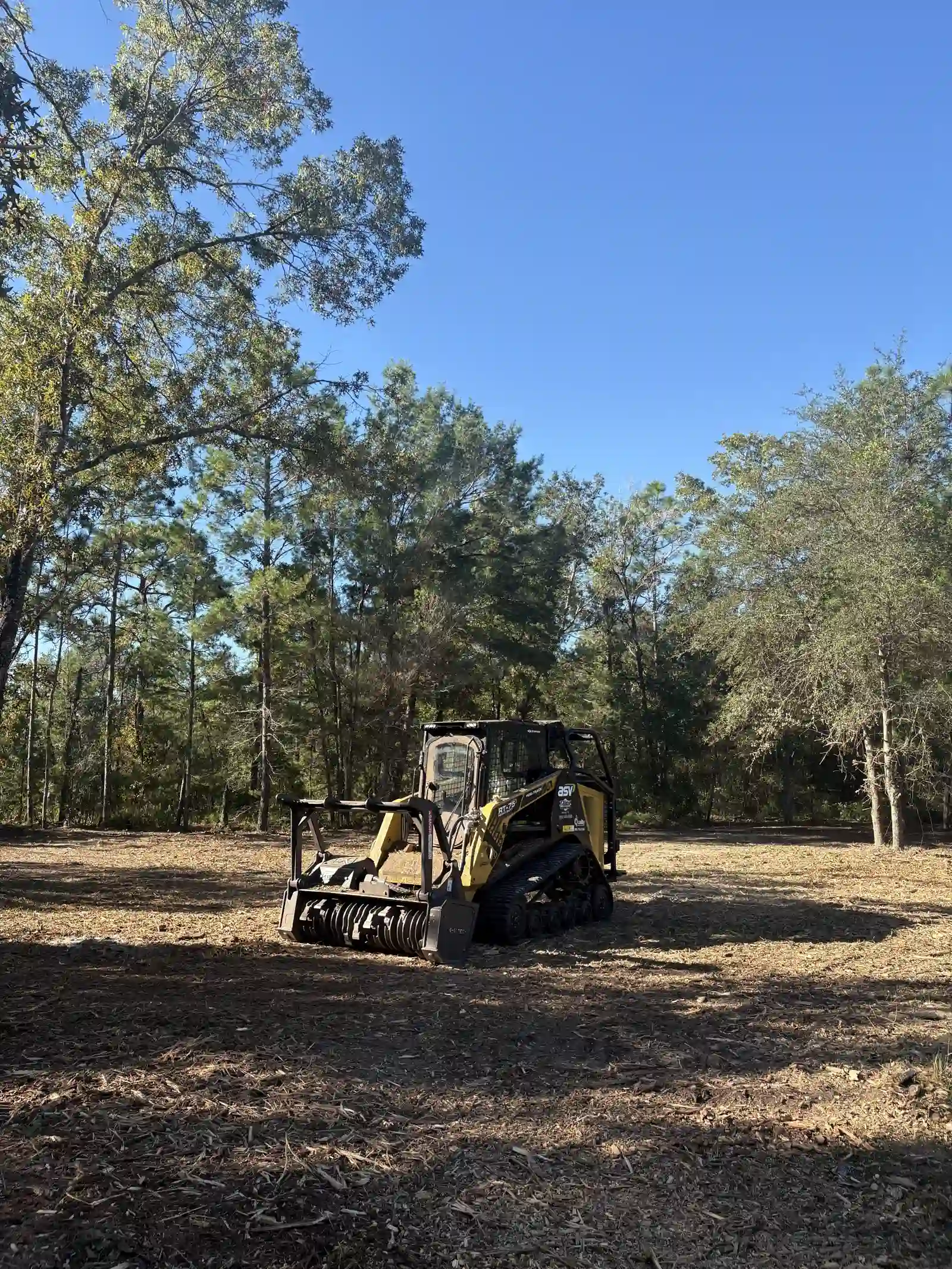 ASV track loader with forestry mulching head on a cleared North Central Florida lot