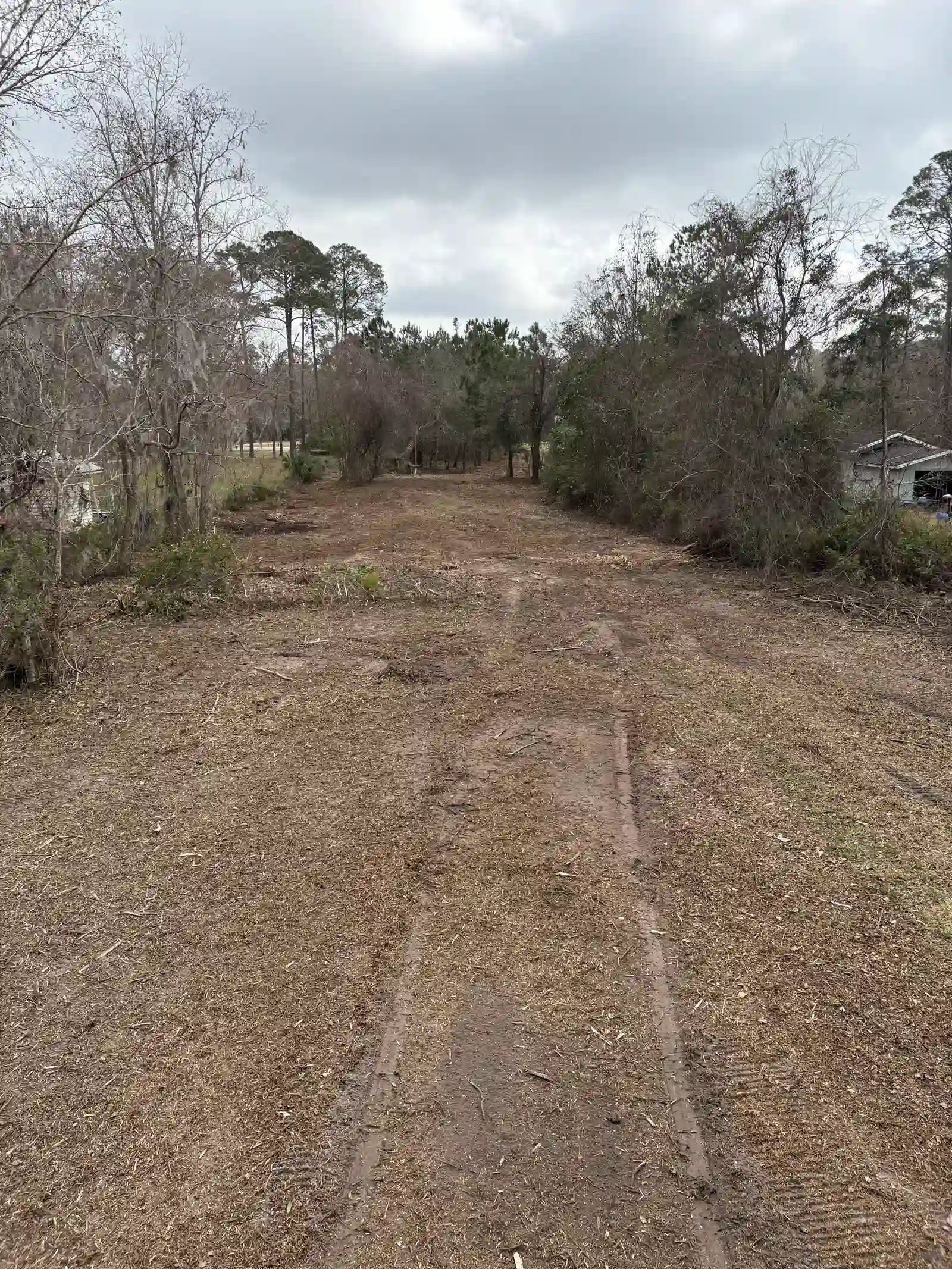 Cleared strip after forestry mulching near Gainesville FL