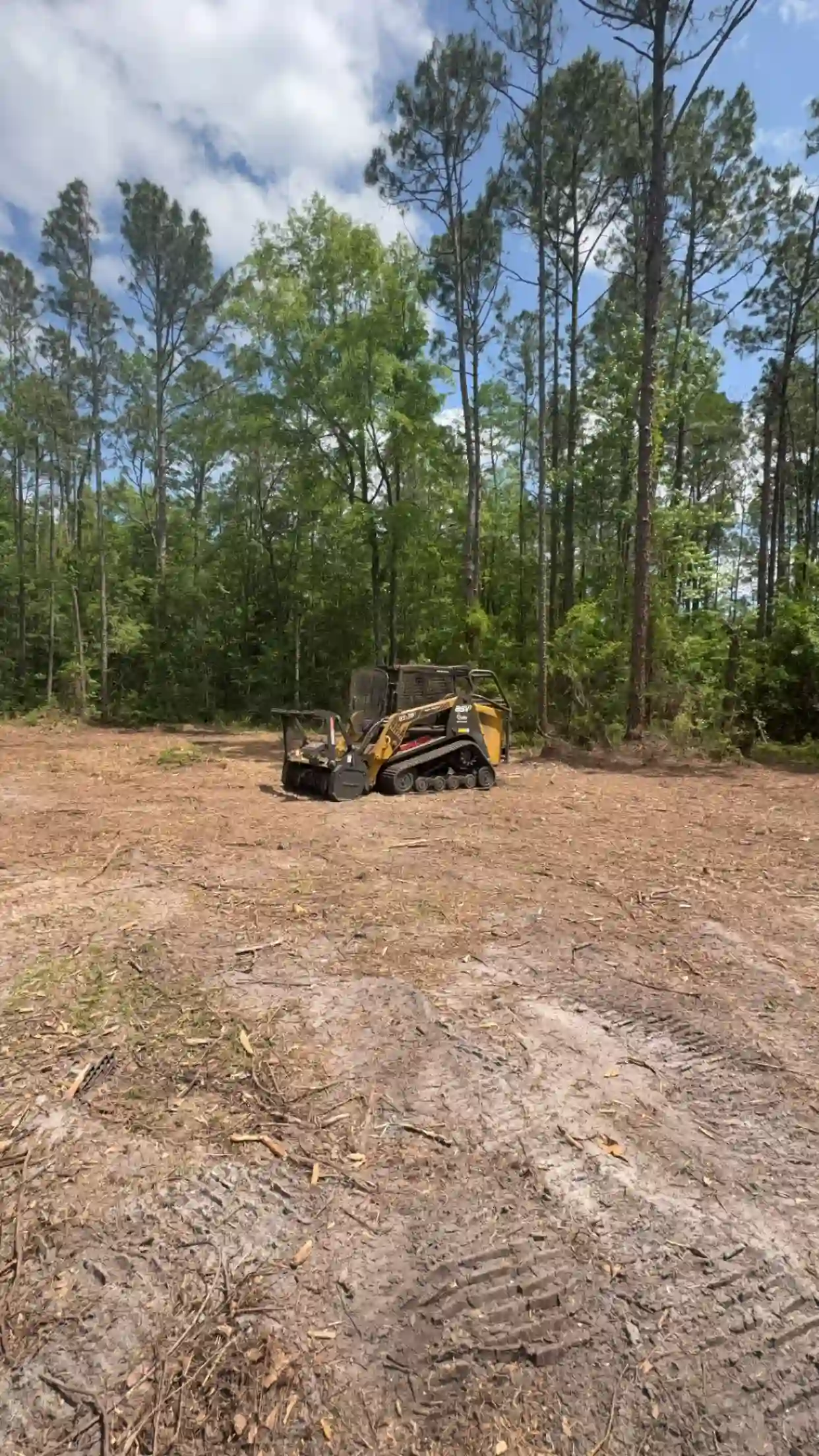 Cleared Marion County acreage after forestry mulching ringed by pines