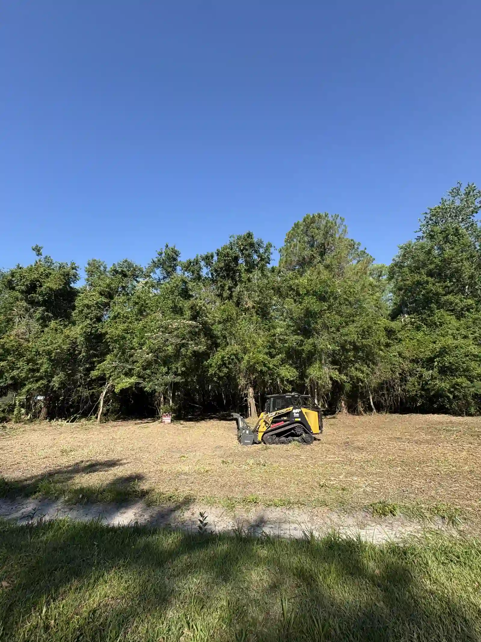 Cleared Clay County lot after forestry mulching with tree line kept