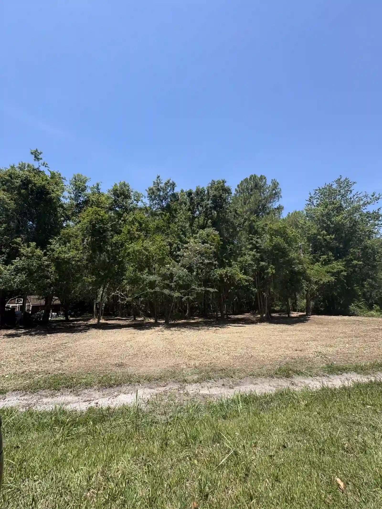 Wide cleared lot after forestry mulching near Orange Park FL with tree line kept