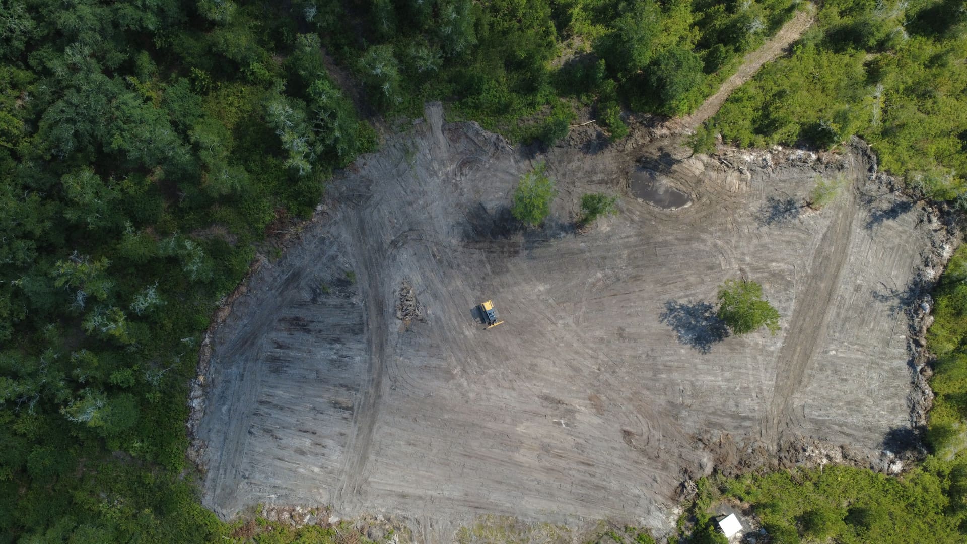 Land clearing near Lake City FL