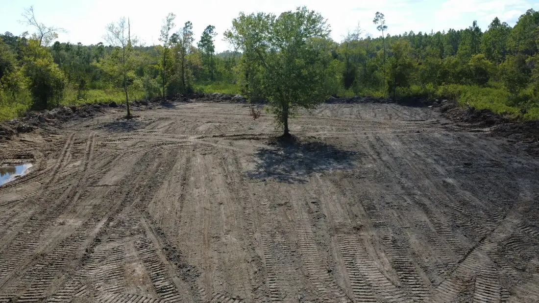 Selective clearing mature timber Lake Butler FL