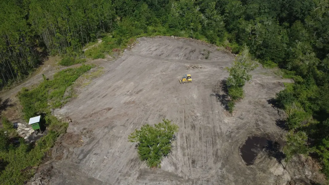 Selective land clearing Union County FL
