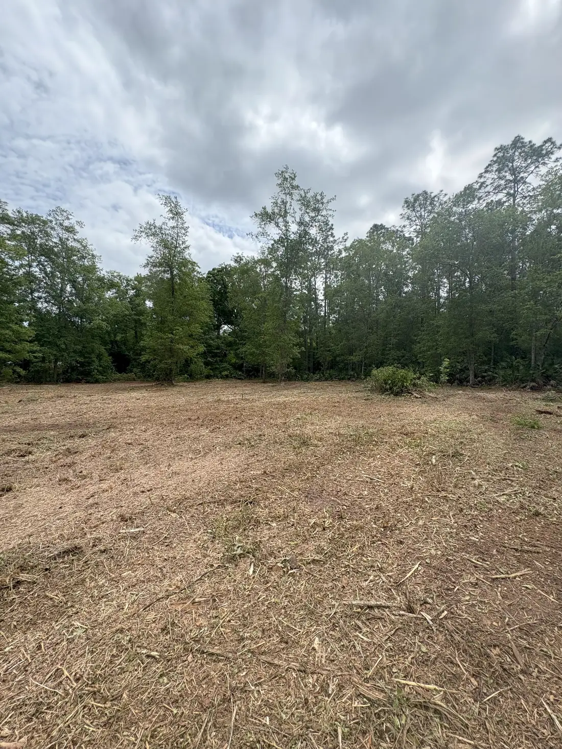 Land clearing Bradford County
