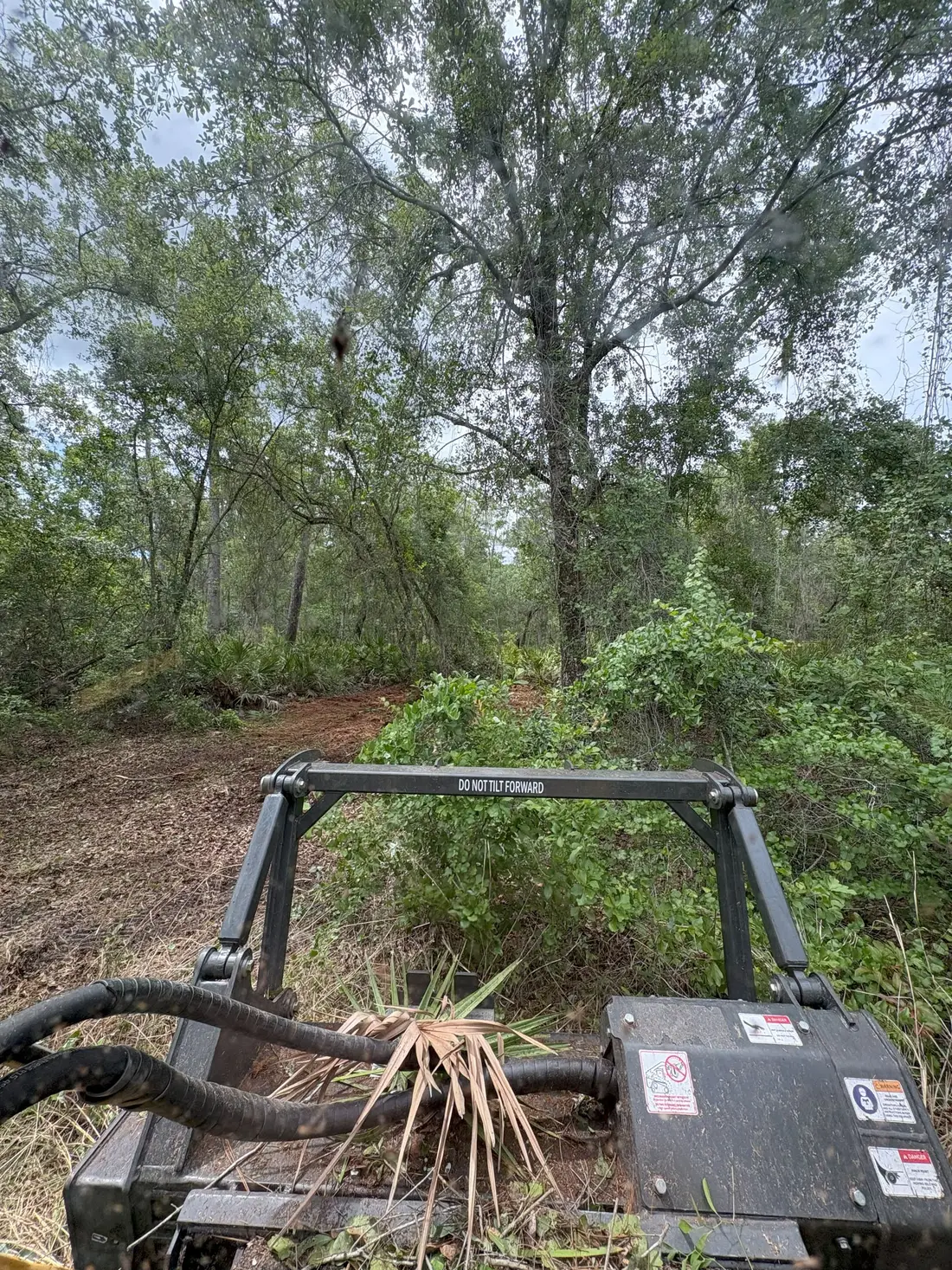 Lot clearing Lawtey Bradford County FL