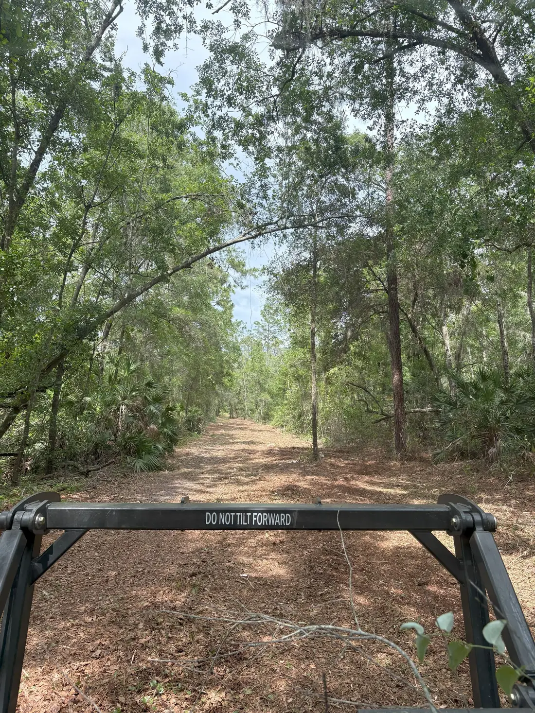 Trail clearing through dense brush Bradford County FL
